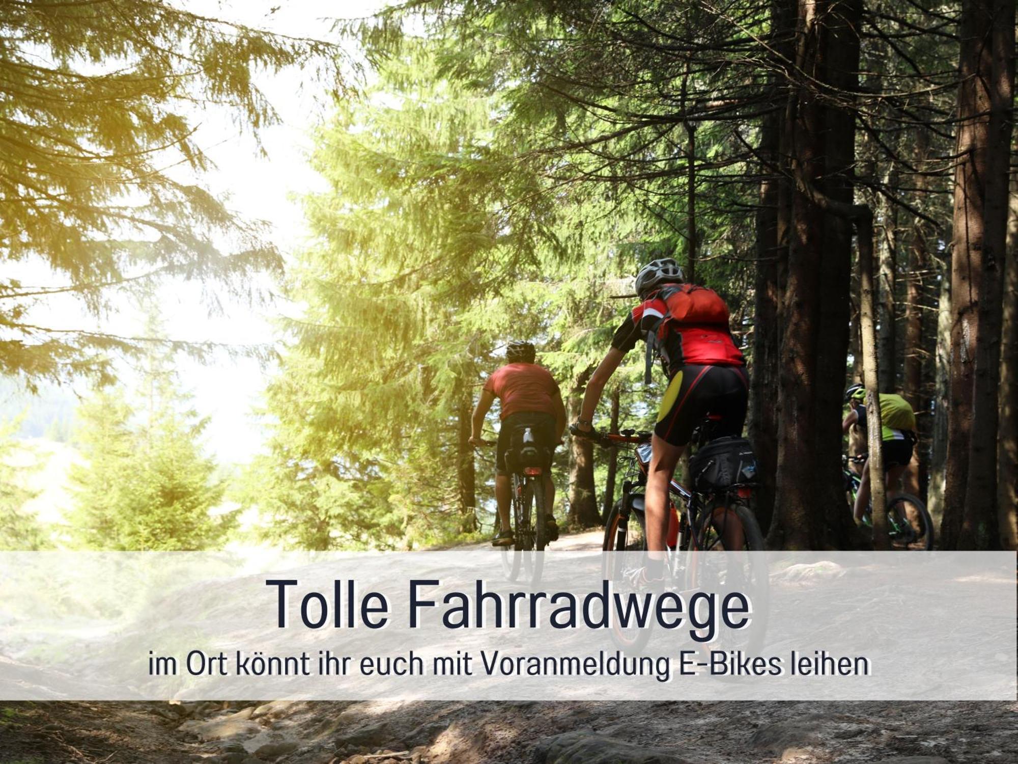 Natur-Chalet Zum Nationalpark Marie-Luise Inkl E-Auto Allenbach المظهر الخارجي الصورة
