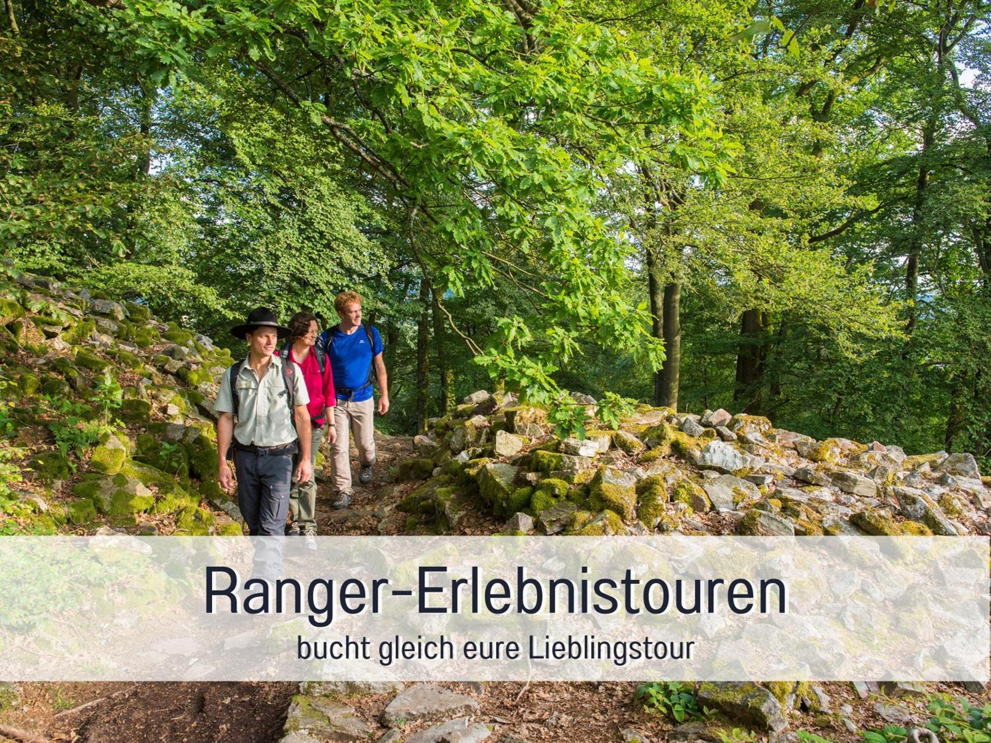 Natur-Chalet Zum Nationalpark Marie-Luise Inkl E-Auto Allenbach المظهر الخارجي الصورة